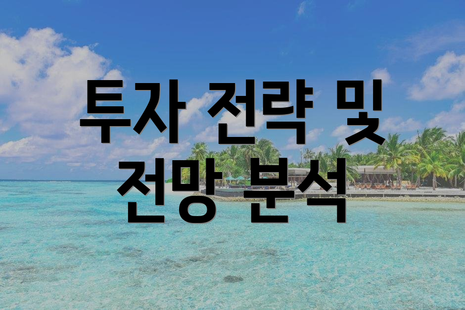 투자 전략 및 전망 분석