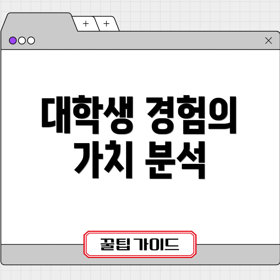 대학생 경험의 가치 분석