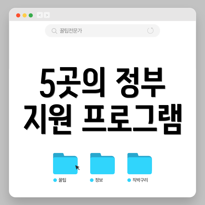 5곳의 정부 지원 프로그램