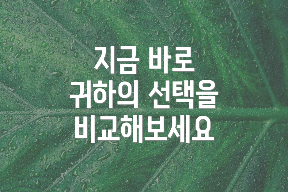 지금 바로 귀하의 선택을 비교해보세요