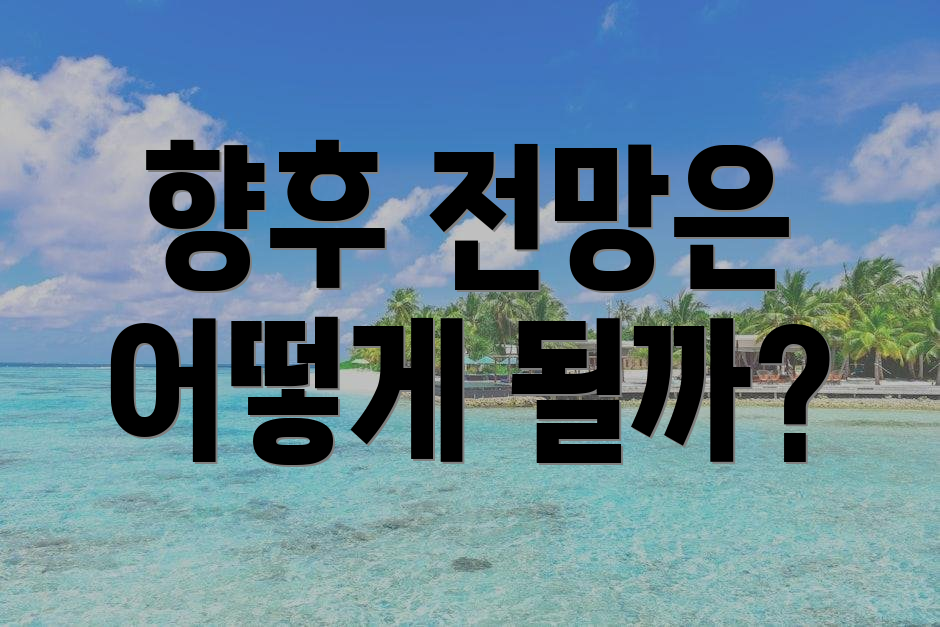 향후 전망은 어떻게 될까?