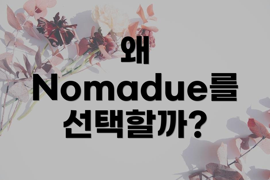 왜 Nomadue를 선택할까?