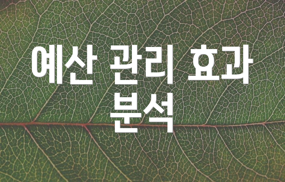 예산 관리 효과 분석