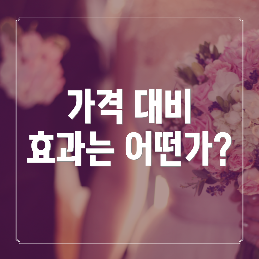 가격 대비 효과는 어떤가?