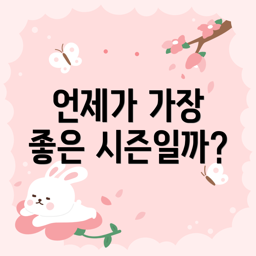 언제가 가장 좋은 시즌일까?