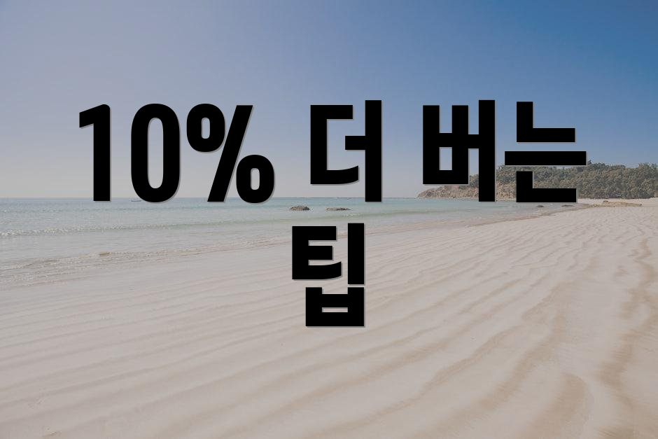 10% 더 버는 팁