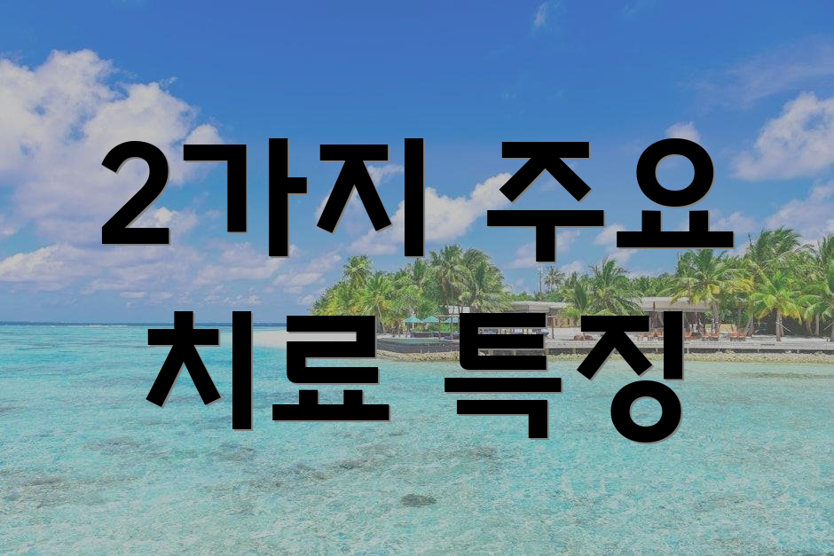 2가지 주요 치료 특징