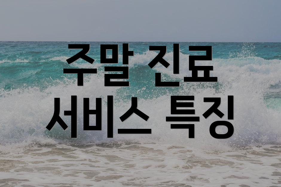 주말 진료 서비스 특징