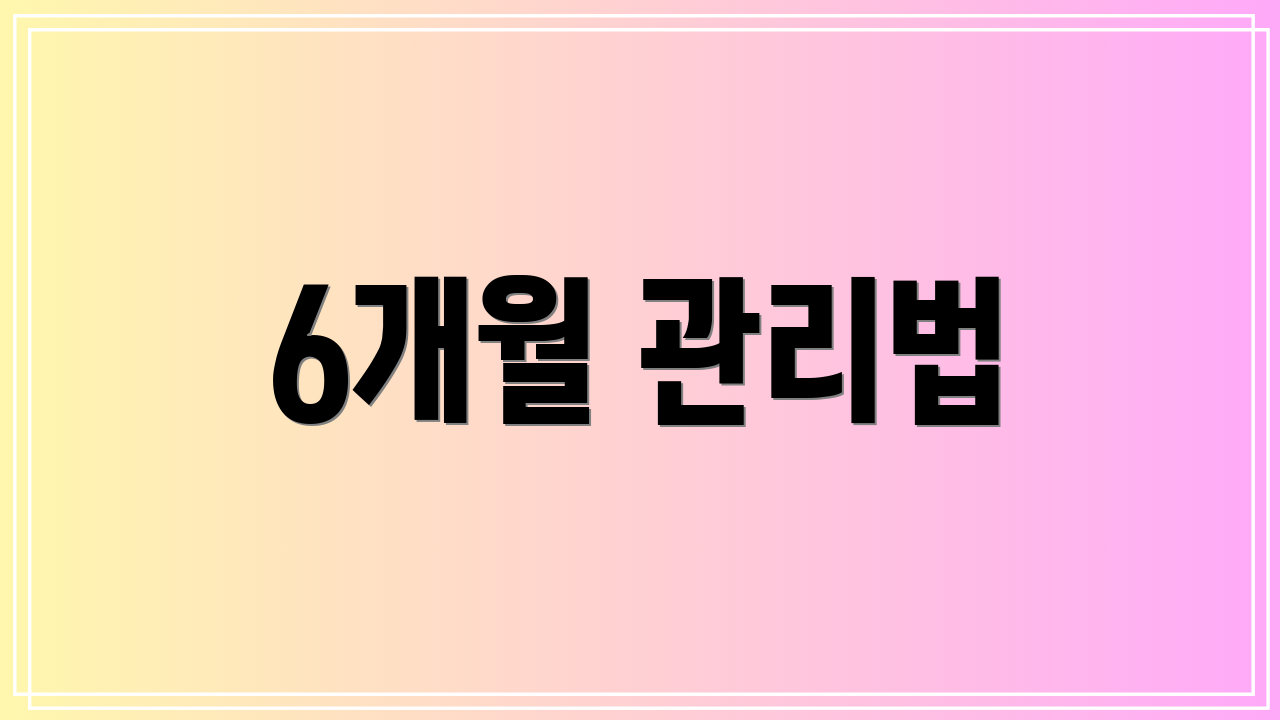 6개월 관리법