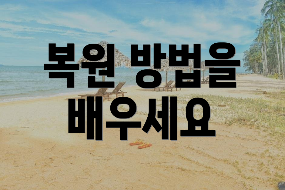 복원 방법을 배우세요