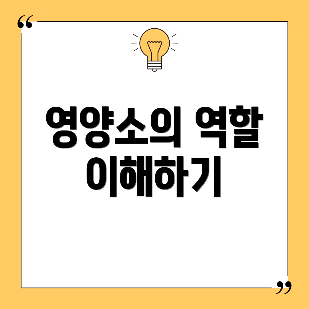 영양소의 역할 이해하기