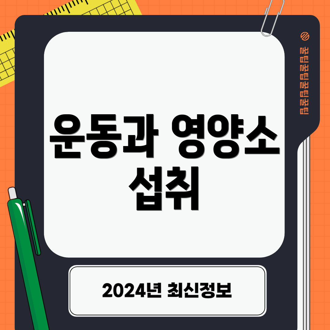 운동과 영양소 섭취