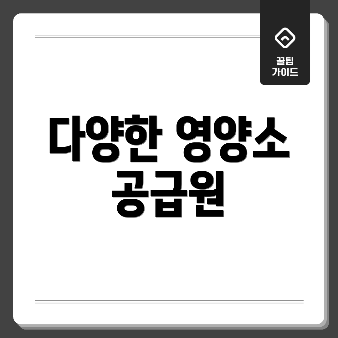 다양한 영양소 공급원