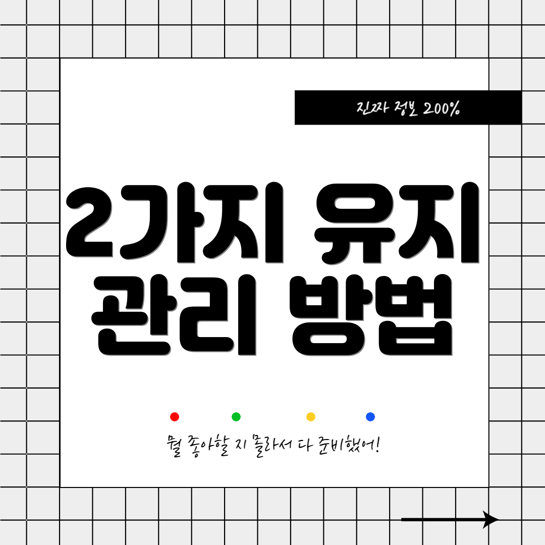 2가지 유지 관리 방법