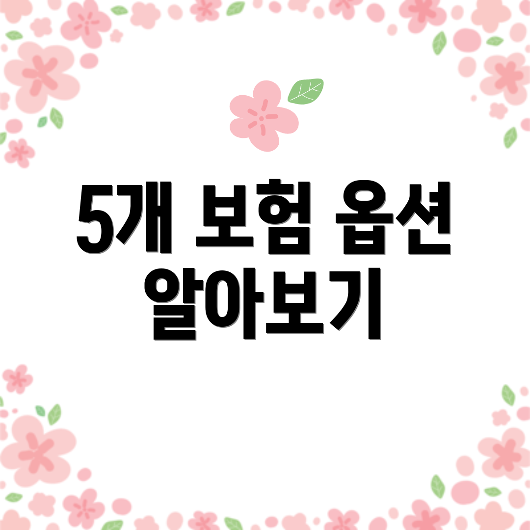 5개 보험 옵션 알아보기