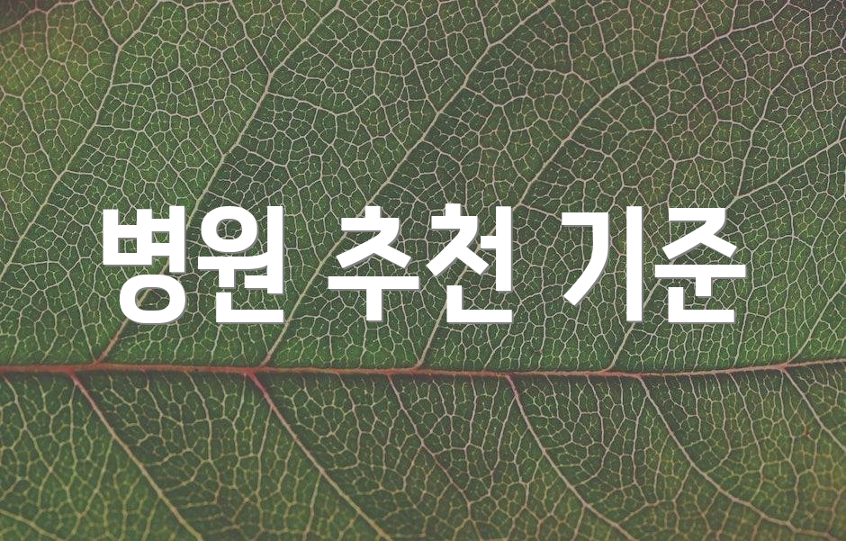병원 추천 기준