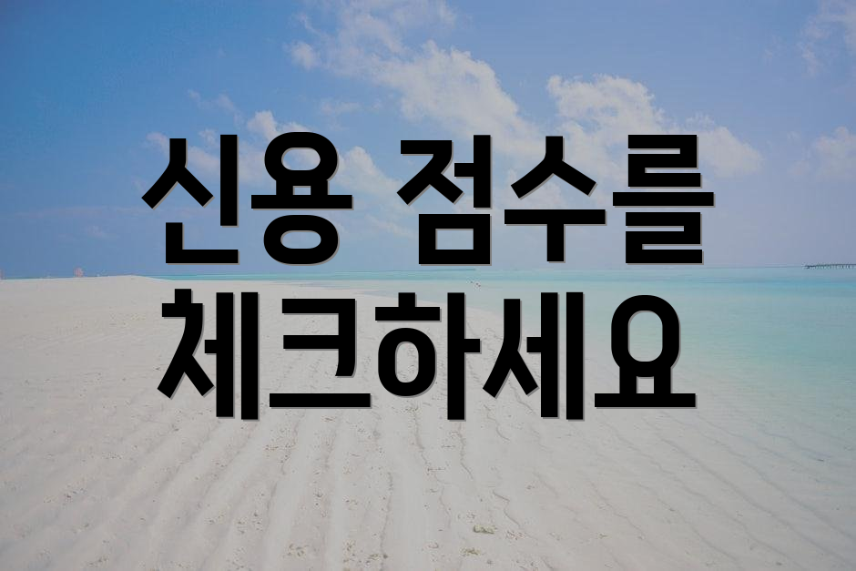 신용 점수를 체크하세요