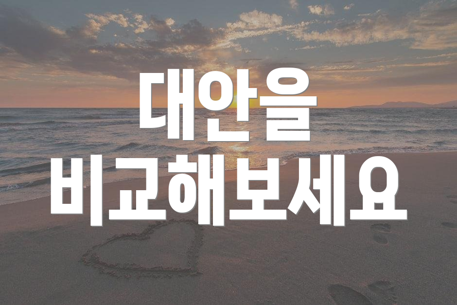 대안을 비교해보세요