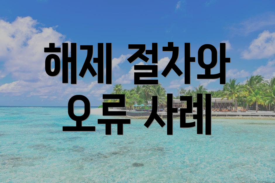 해제 절차와 오류 사례