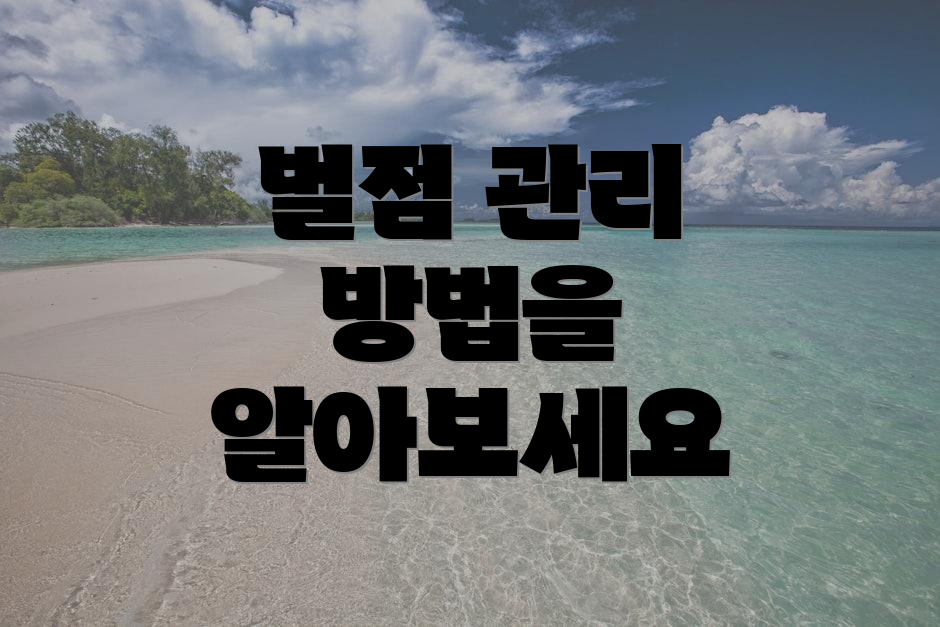 벌점 관리 방법을 알아보세요