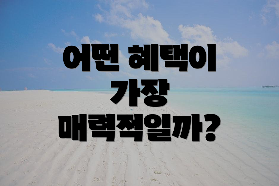 어떤 혜택이 가장 매력적일까?