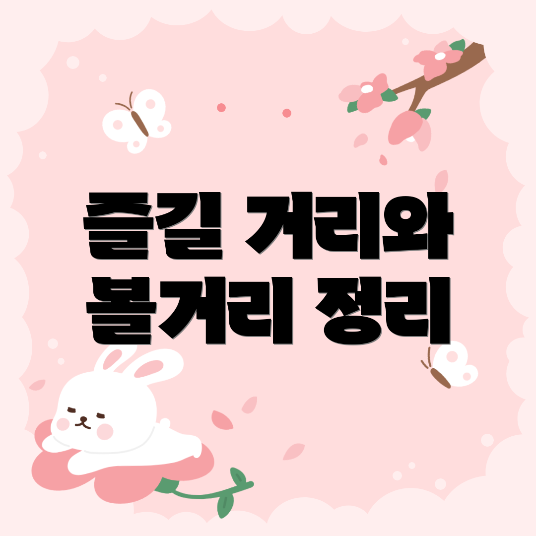 즐길 거리와 볼거리 정리