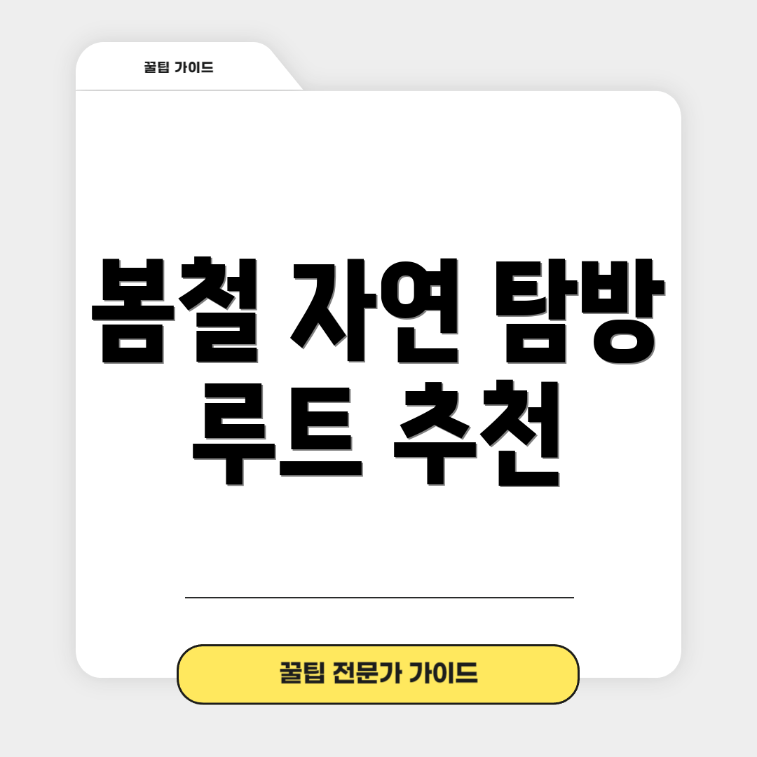 봄철 자연 탐방 루트 추천