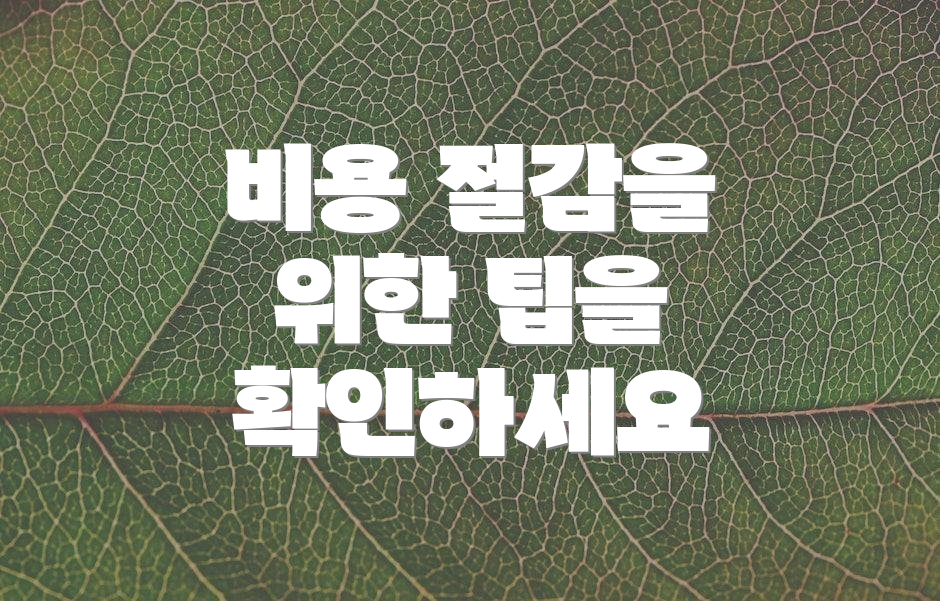 비용 절감을 위한 팁을 확인하세요