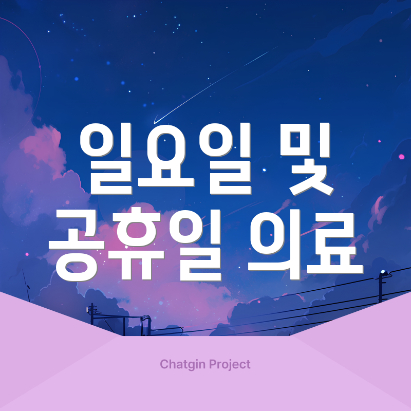 일요일 및 공휴일 의료