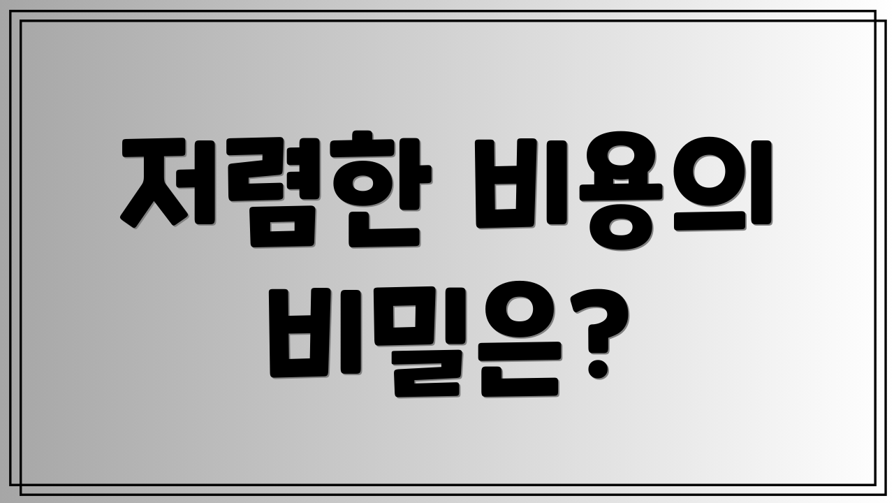 저렴한 비용의 비밀은?