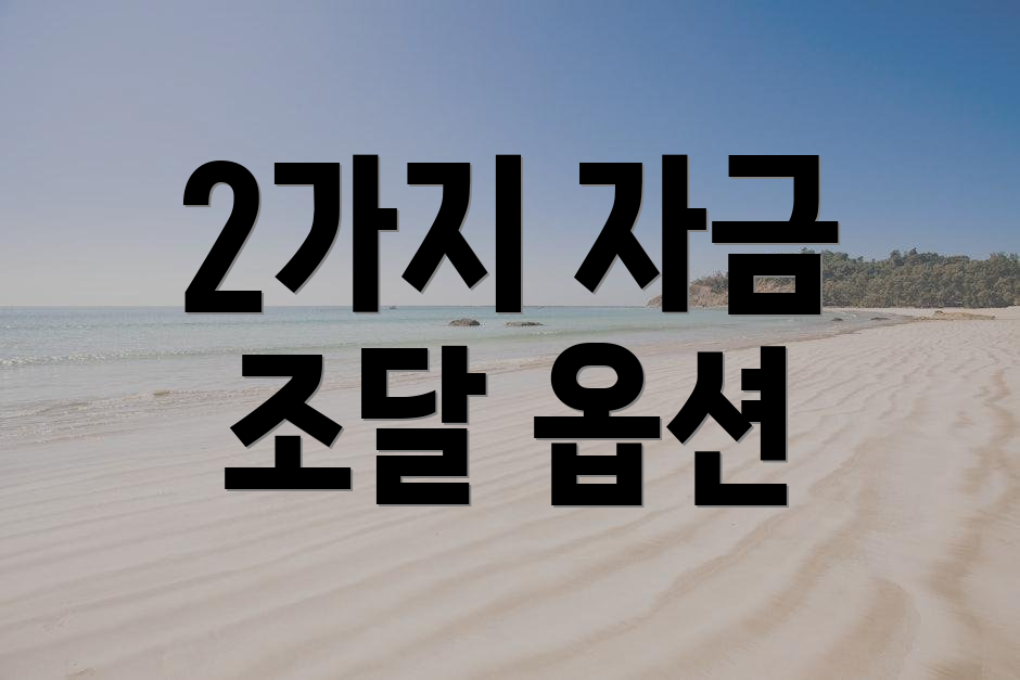 2가지 자금 조달 옵션