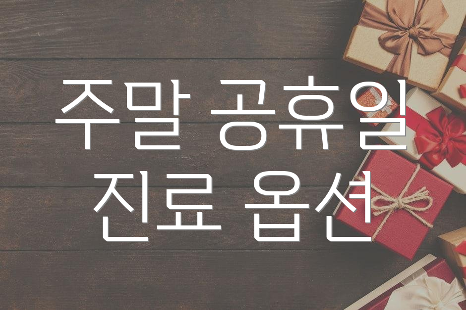 주말 공휴일 진료 옵션