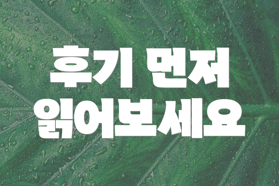 후기 먼저 읽어보세요