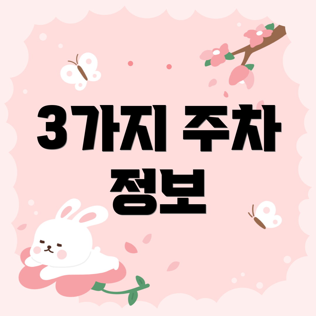 3가지 주차 정보