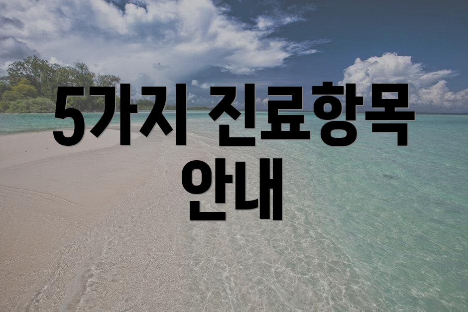 5가지 진료항목 안내