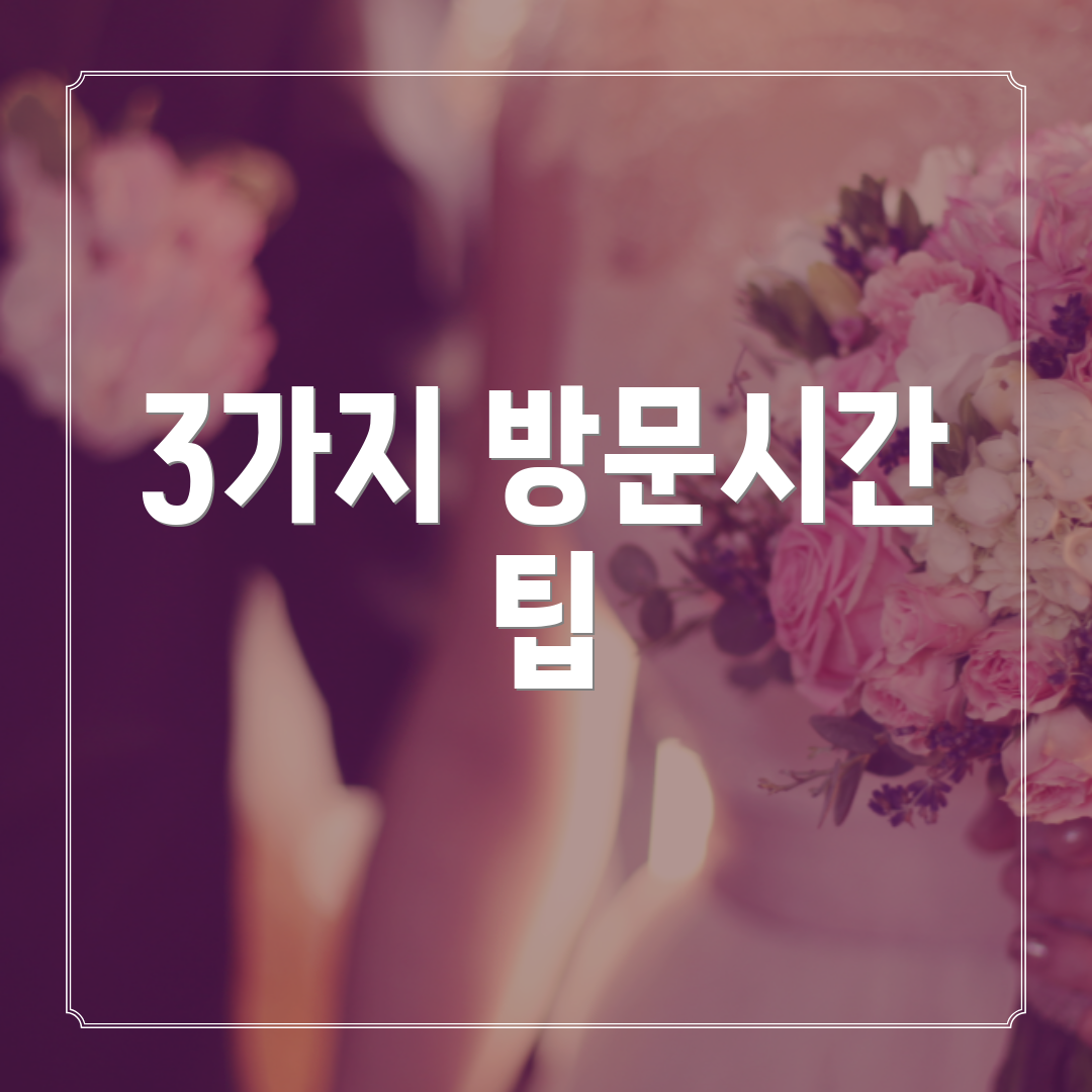 3가지 방문시간 팁