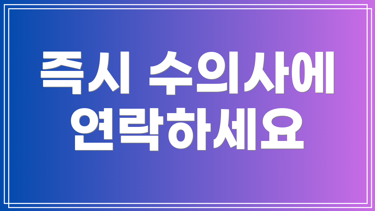 즉시 수의사에 연락하세요