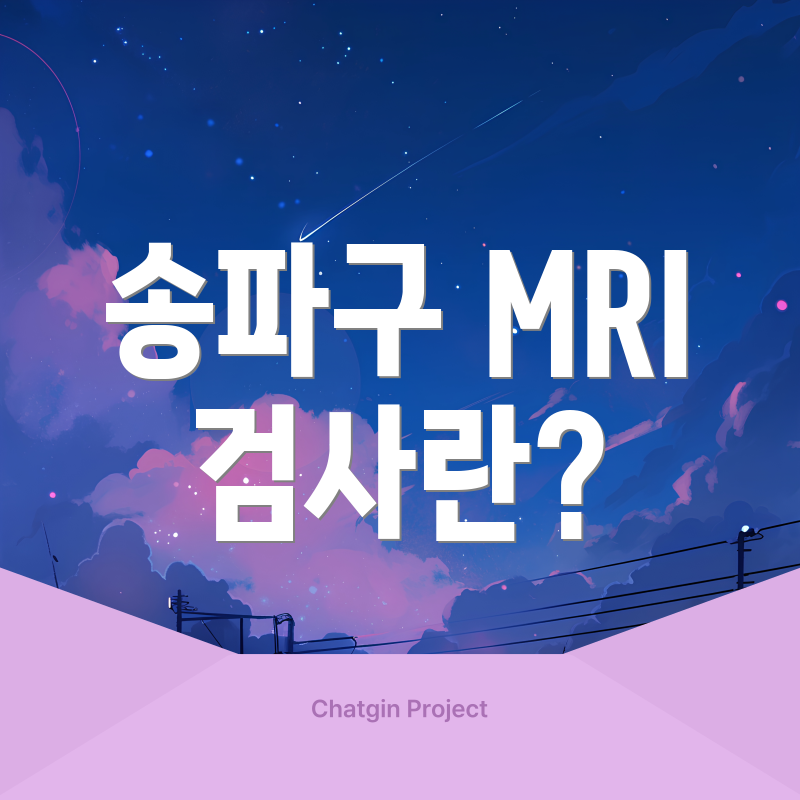 송파구 MRI 검사란?