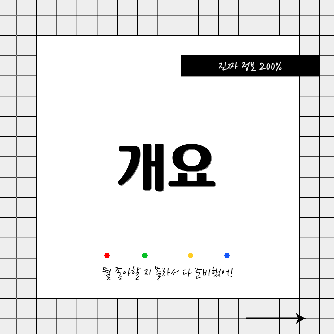 개요