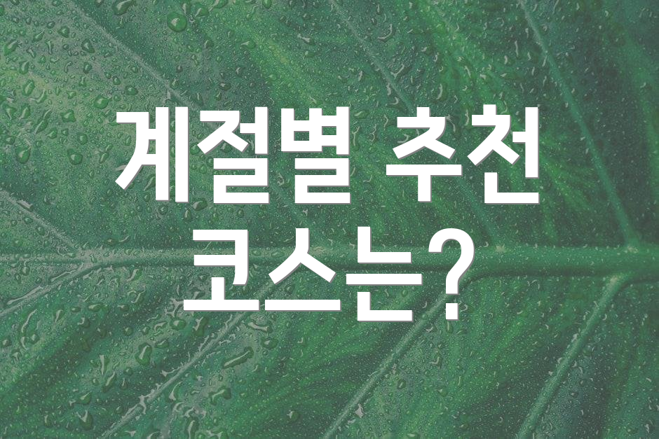 계절별 추천 코스는?