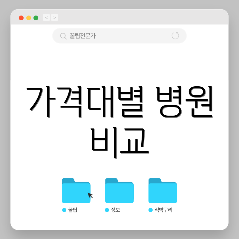 가격대별 병원 비교