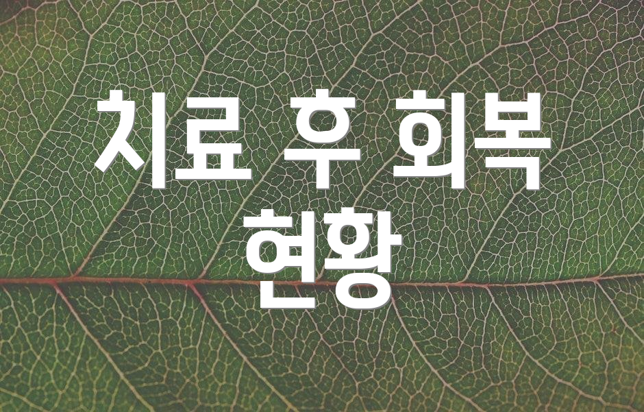 치료 후 회복 현황