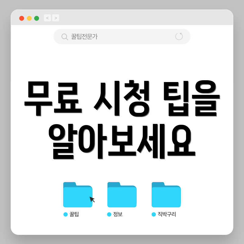 무료 시청 팁을 알아보세요
