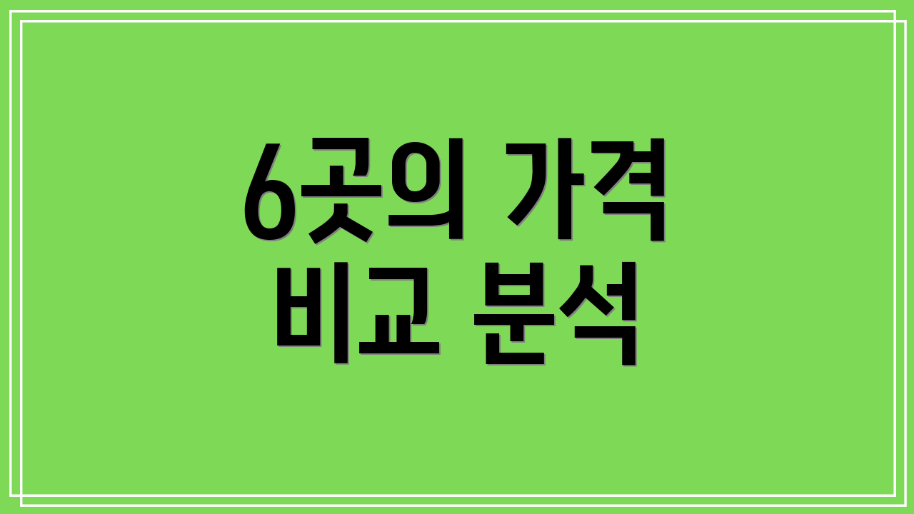 6곳의 가격 비교 분석