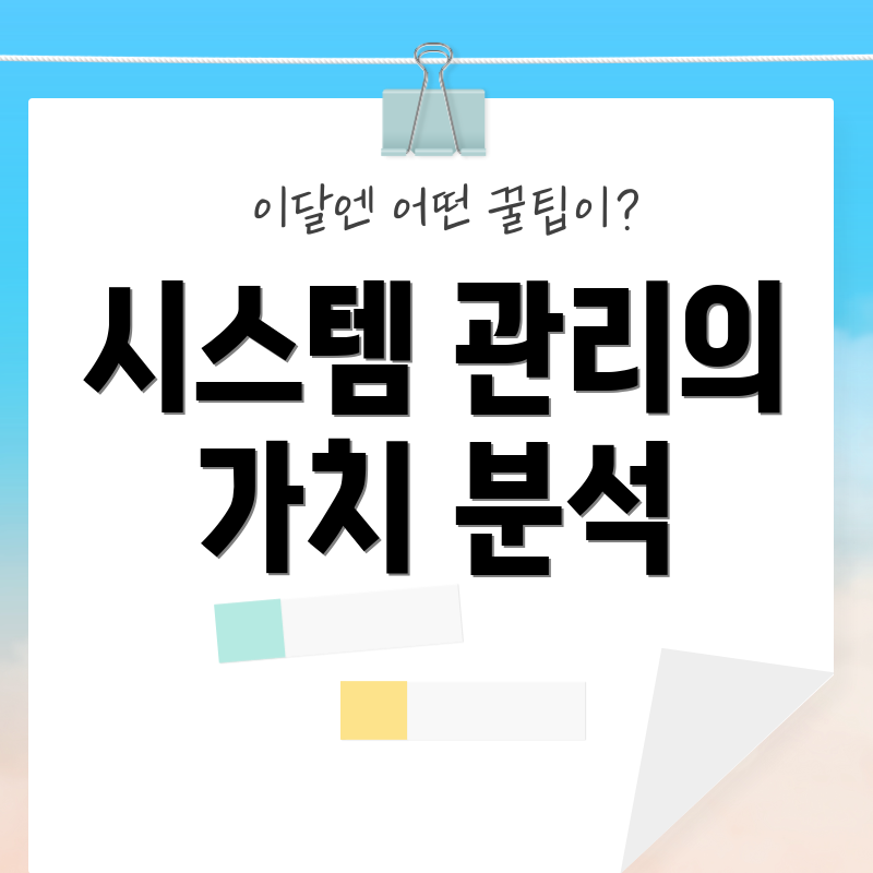 시스템 관리의 가치 분석