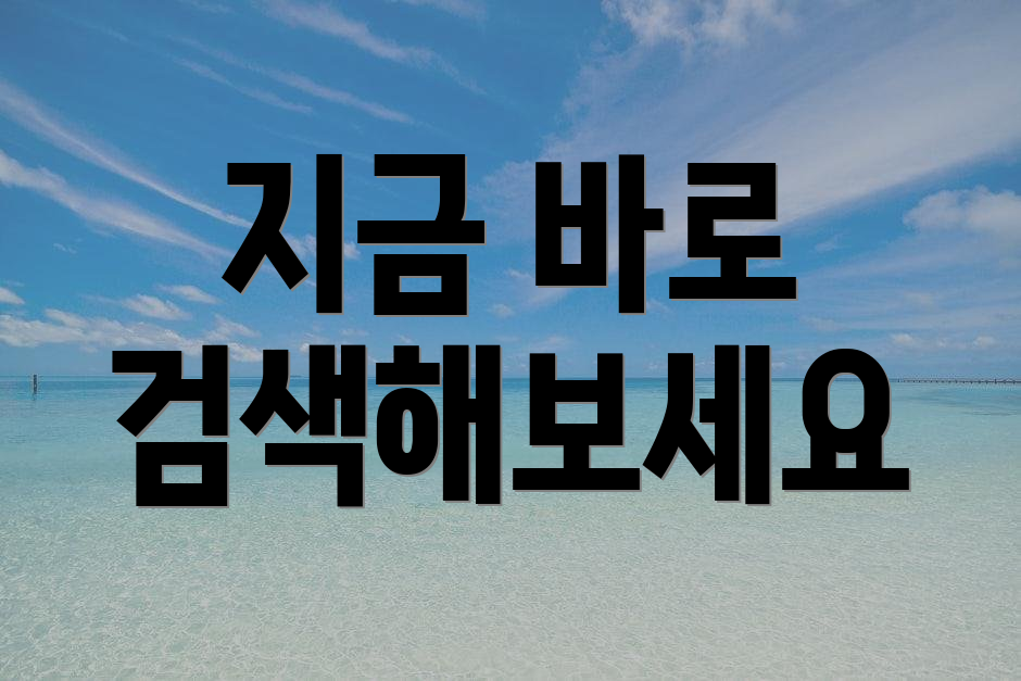 지금 바로 검색해보세요