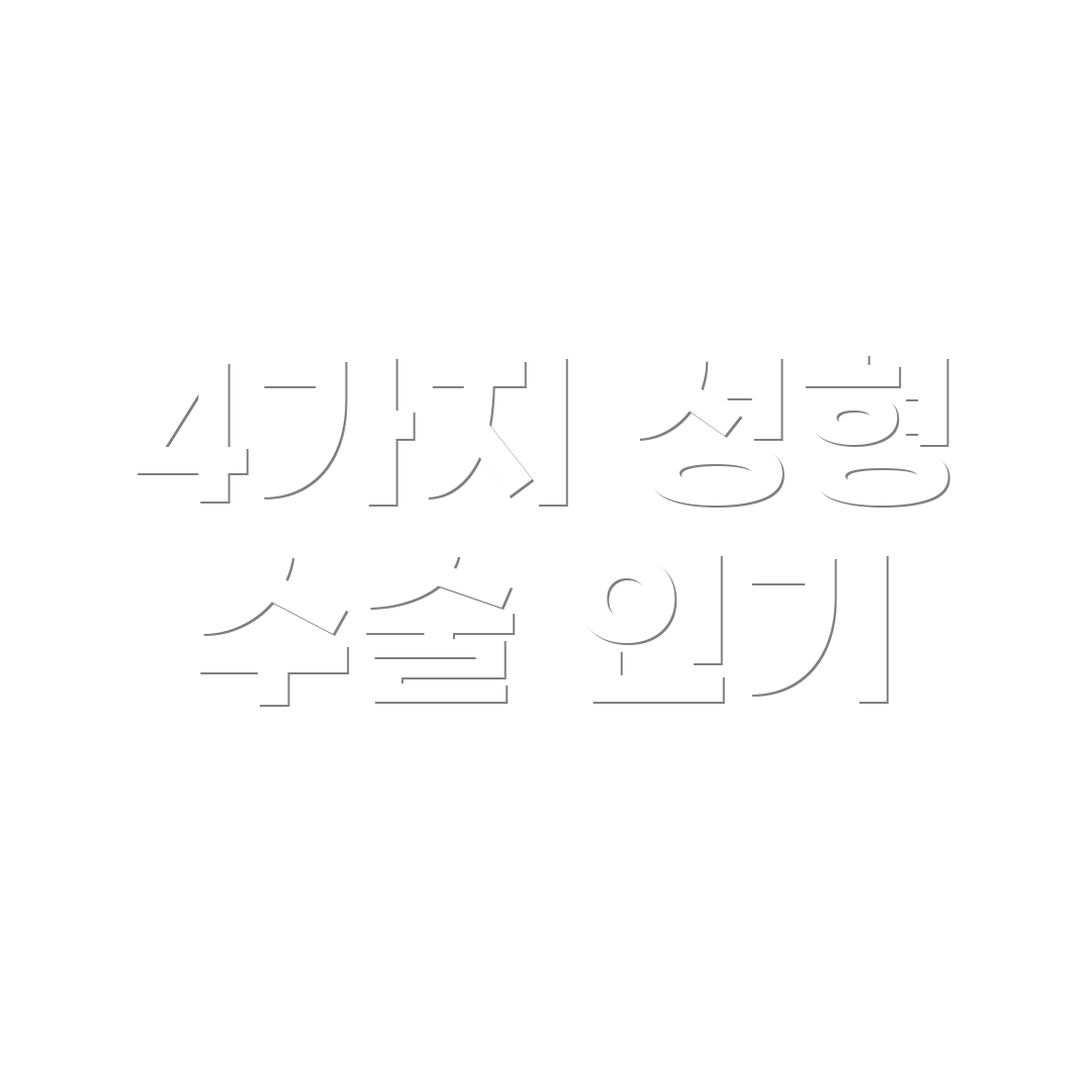 4가지 성형 수술 인기
