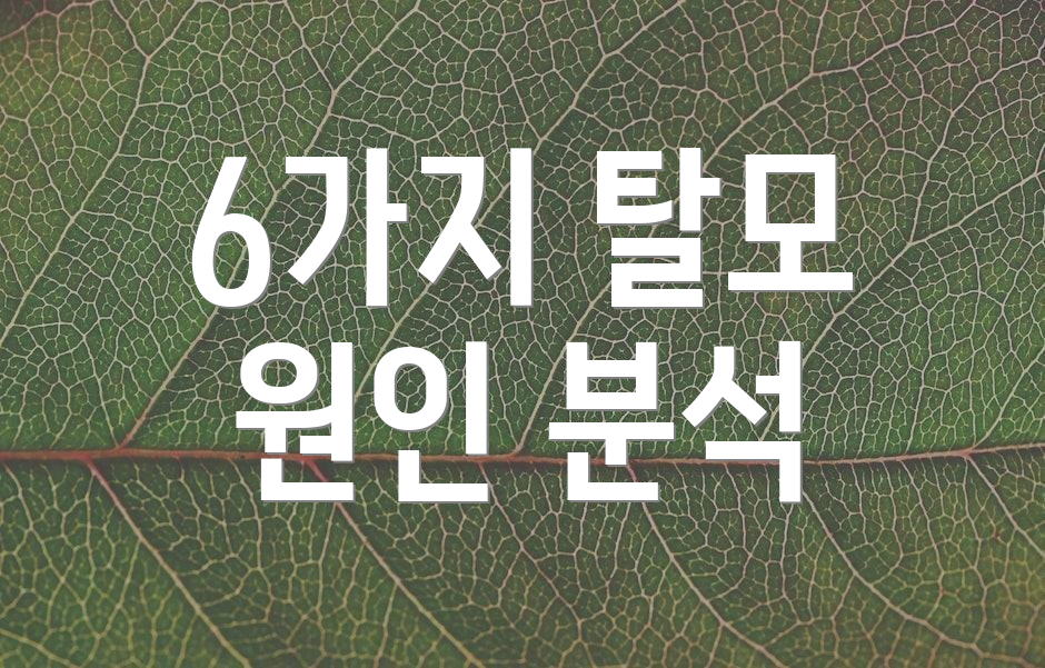 6가지 탈모 원인 분석
