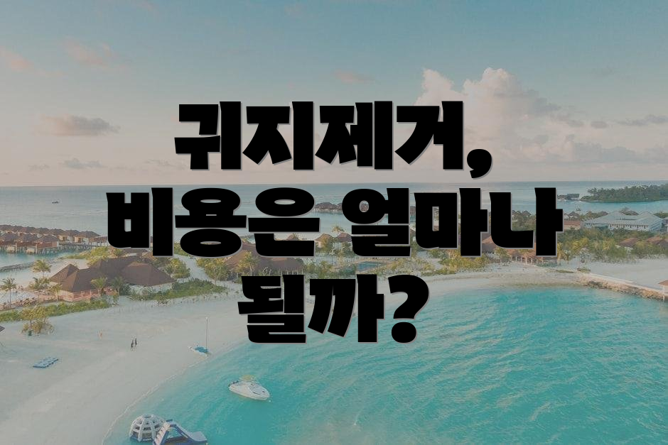 귀지제거, 비용은 얼마나 될까?