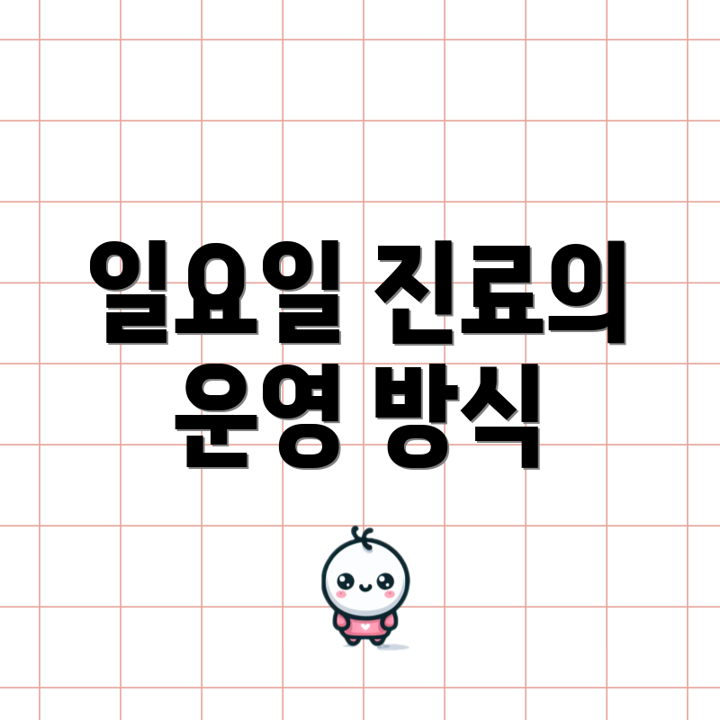 일요일 진료의 운영 방식